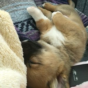 Meet your Posher, Megan